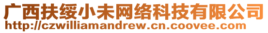 廣西扶綏小未網(wǎng)絡(luò)科技有限公司