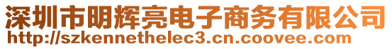 深圳市明輝亮電子商務(wù)有限公司