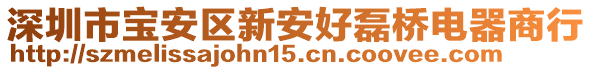 深圳市寶安區(qū)新安好磊橋電器商行