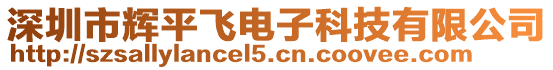 深圳市輝平飛電子科技有限公司