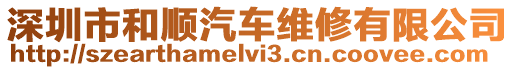 深圳市和順汽車維修有限公司