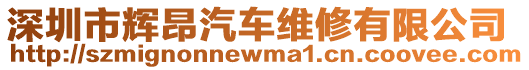 深圳市輝昂汽車維修有限公司