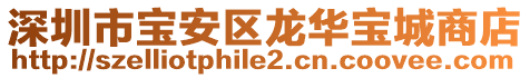 深圳市寶安區(qū)龍華寶城商店