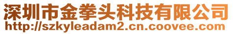 深圳市金拳頭科技有限公司