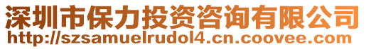 深圳市保力投資咨詢有限公司