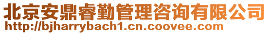 北京安鼎睿勤管理咨詢有限公司