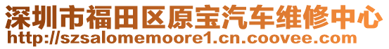 深圳市福田區(qū)原寶汽車維修中心