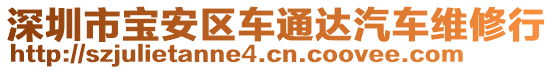 深圳市寶安區(qū)車通達汽車維修行