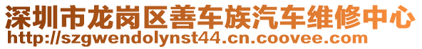 深圳市龍崗區(qū)善車族汽車維修中心