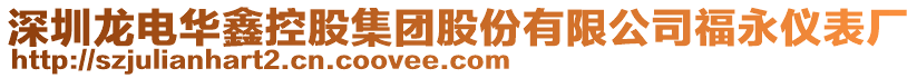 深圳龙电华鑫控股集团股份有限公司福永仪表厂