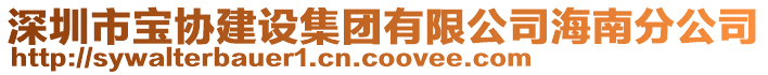 深圳市寶協(xié)建設集團有限公司海南分公司