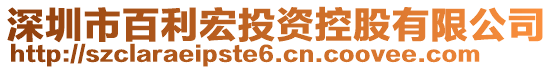 深圳市百利宏投資控股有限公司