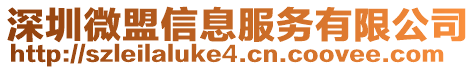 深圳微盟信息服務(wù)有限公司