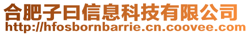 合肥子曰信息科技有限公司