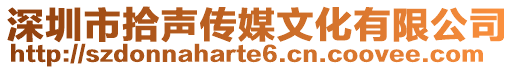 深圳市拾聲傳媒文化有限公司