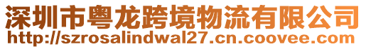 深圳市粤龙跨境物流有限公司