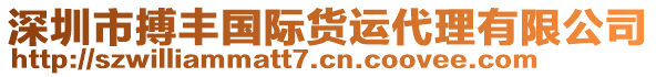 深圳市搏豐國(guó)際貨運(yùn)代理有限公司