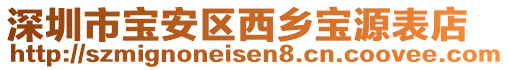 深圳市寶安區(qū)西鄉(xiāng)寶源表店