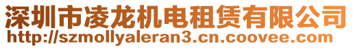 深圳市凌龍機電租賃有限公司