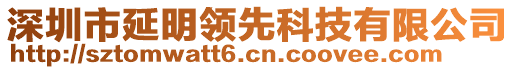 深圳市延明領(lǐng)先科技有限公司