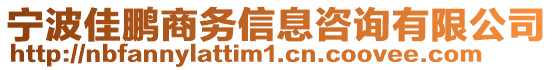 寧波佳鵬商務(wù)信息咨詢有限公司