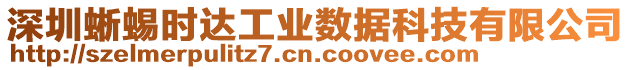 深圳蜥蜴時達工業(yè)數(shù)據(jù)科技有限公司