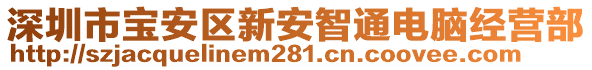 深圳市寶安區(qū)新安智通電腦經(jīng)營部