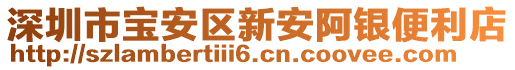 深圳市寶安區(qū)新安阿銀便利店