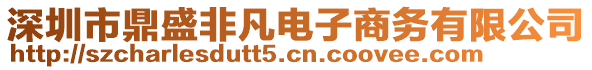 深圳市鼎盛非凡電子商務(wù)有限公司