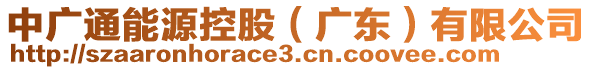 中廣通能源控股（廣東）有限公司