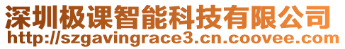 深圳極課智能科技有限公司