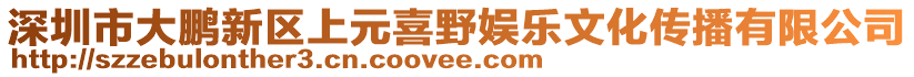 深圳市大鵬新區(qū)上元喜野娛樂文化傳播有限公司