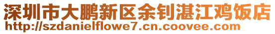 深圳市大鵬新區(qū)余釗湛江雞飯店