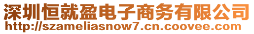 深圳恒就盈電子商務(wù)有限公司