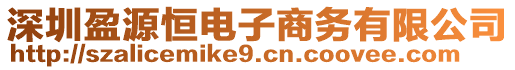 深圳盈源恒電子商務(wù)有限公司