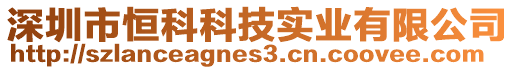 深圳市恒科科技實業(yè)有限公司