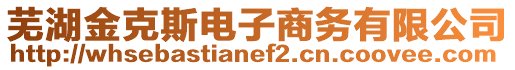 蕪湖金克斯電子商務(wù)有限公司