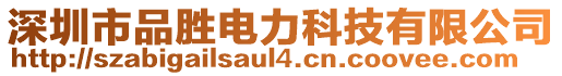 深圳市品勝電力科技有限公司