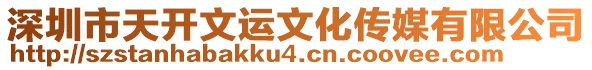 深圳市天開文運文化傳媒有限公司