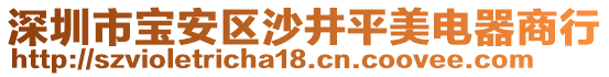 深圳市寶安區(qū)沙井平美電器商行