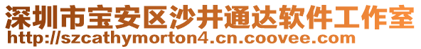 深圳市寶安區(qū)沙井通達(dá)軟件工作室