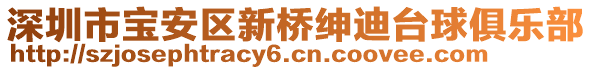 深圳市寶安區(qū)新橋紳迪臺(tái)球俱樂部