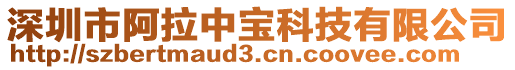 深圳市阿拉中寶科技有限公司