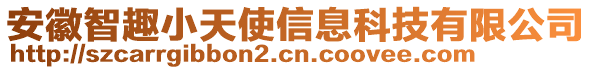 安徽智趣小天使信息科技有限公司