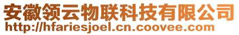 安徽領云物聯科技有限公司