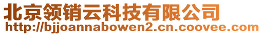 北京領(lǐng)銷(xiāo)云科技有限公司