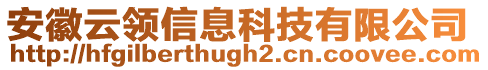 安徽云领信息科技有限公司