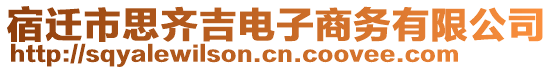 宿遷市思齊吉電子商務(wù)有限公司