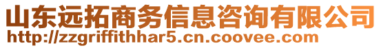 山東遠拓商務信息咨詢有限公司