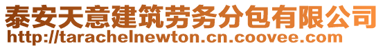 泰安天意建筑勞務(wù)分包有限公司